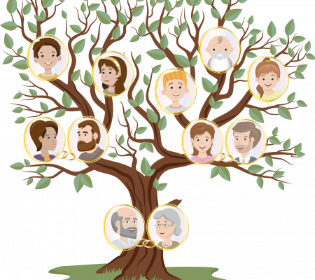 family-tree-6093805_1920